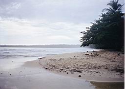 28 Cahuita amanecer.jpg